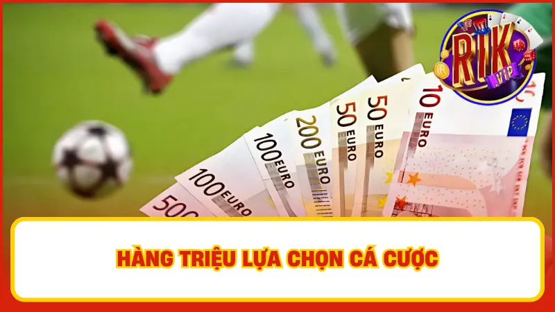 New Ug Sports – Sảnh Cá Cược Thể Thao Thương Hiệu Rikvip 2 Mỗi loại hình cá độ đều có những quy tắc và chiến thuật riêng